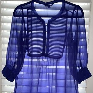 Banana Republic blue sheer blouse